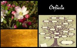 Othala (ELEMIAH VOYANCE 08 99 96 90 99)